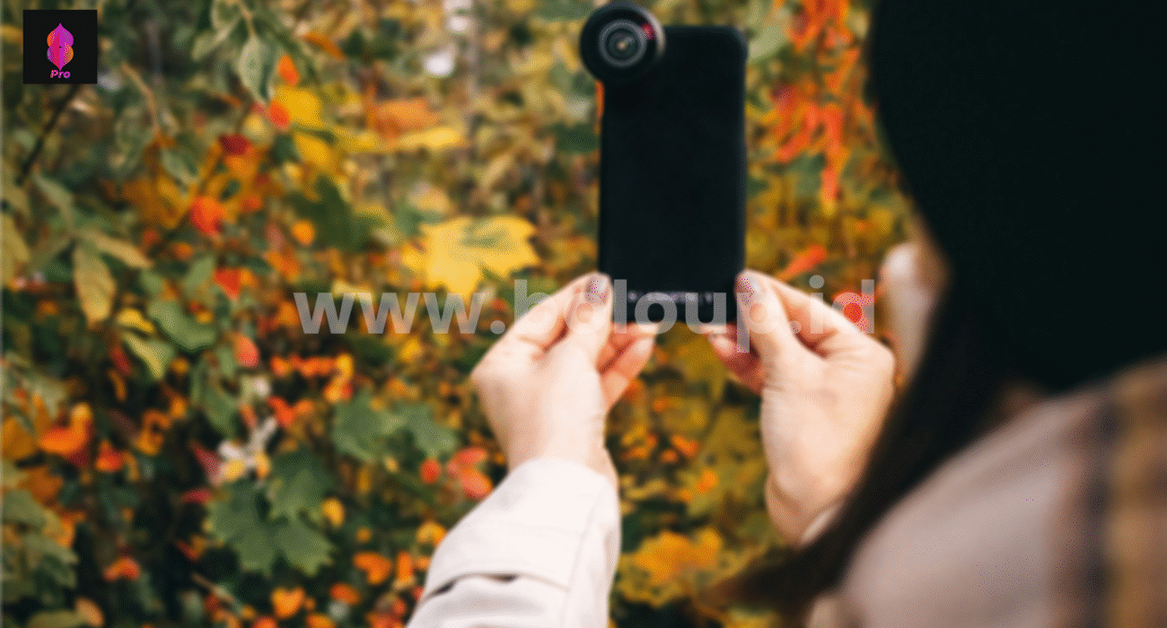 Indoor vs Outdoor? What’s Ideal for BoloUp Hosts