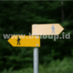 Why Decision Making Skills Matter for BoloUp Live Agents